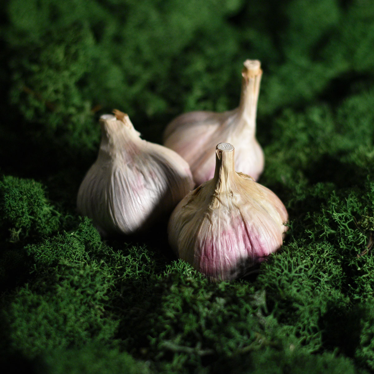 Česnakai lietuviški