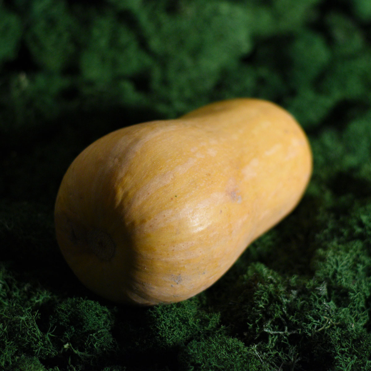 Moliūgai sviestiniai