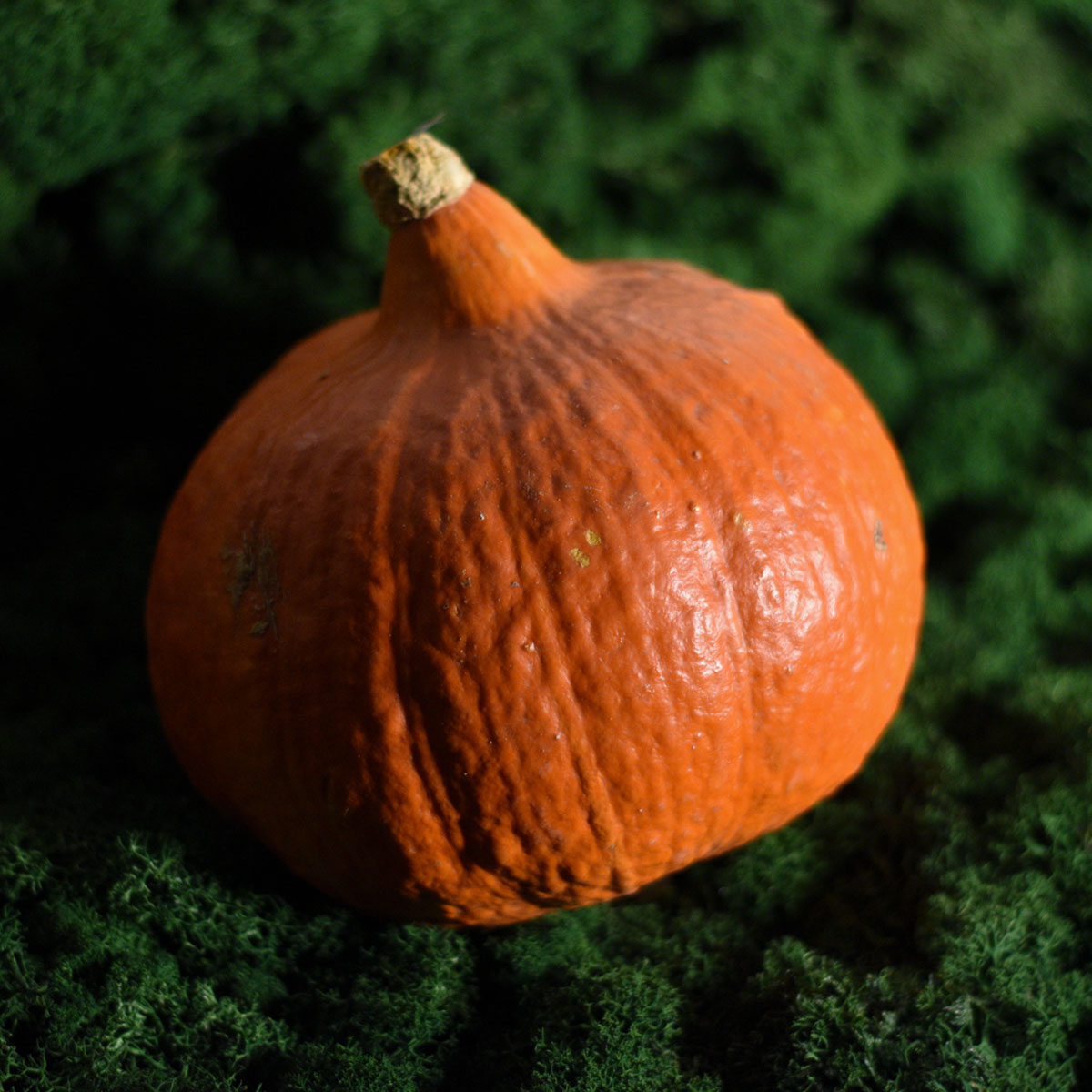 Ekologiškas moliūgas Potimarron