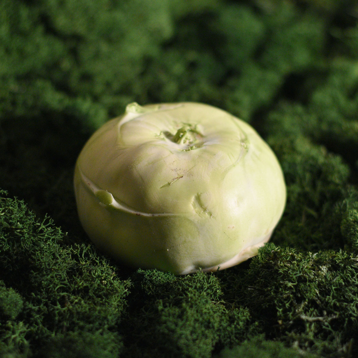 Ekologiška kaliaropė