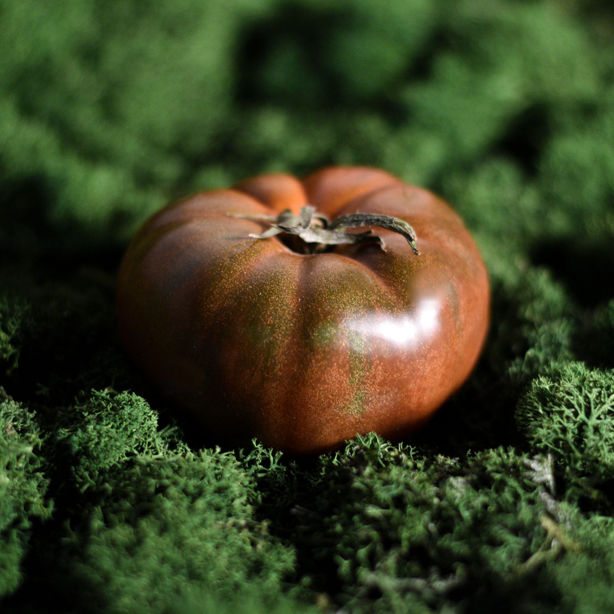 Ekologiški pomidorai juodieji noire