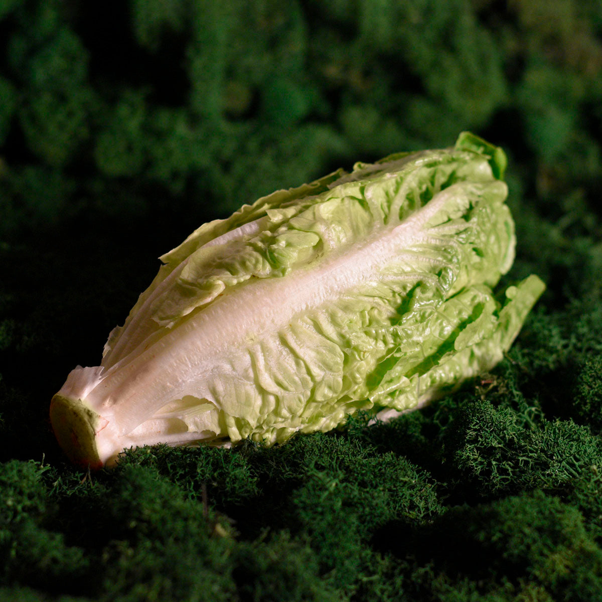 Romaninės salotos (2 vnt.)