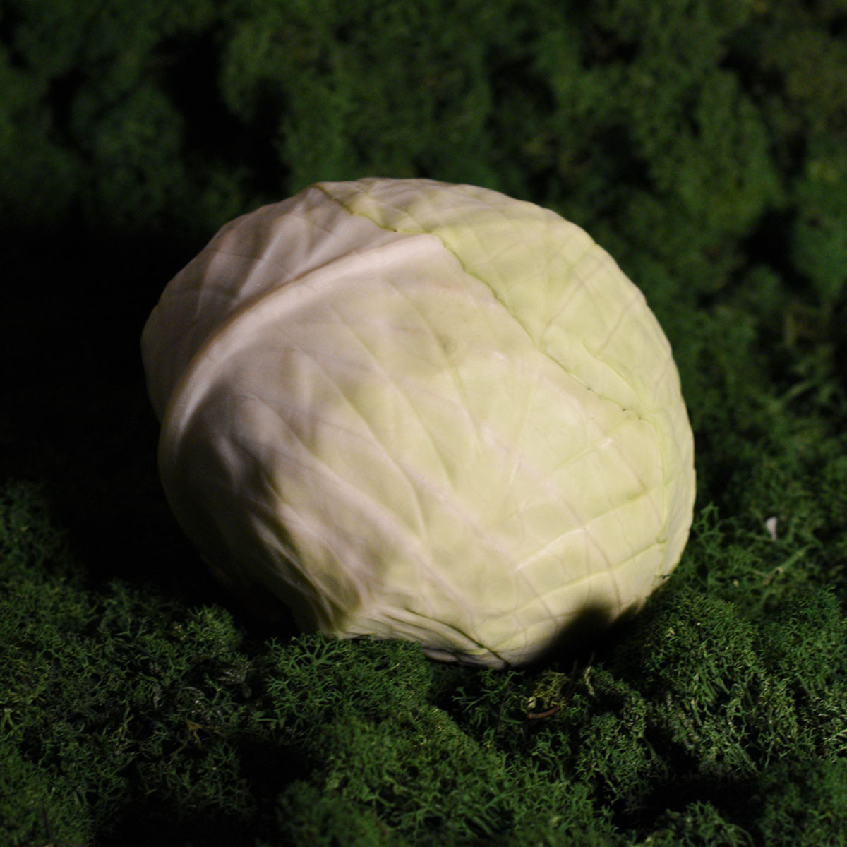 Kopūstai lietuviški