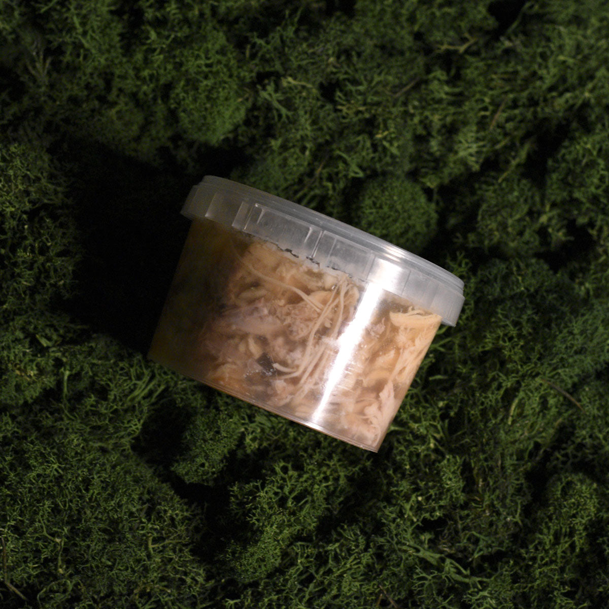 Triušienos užpiltinis (šaltiena)