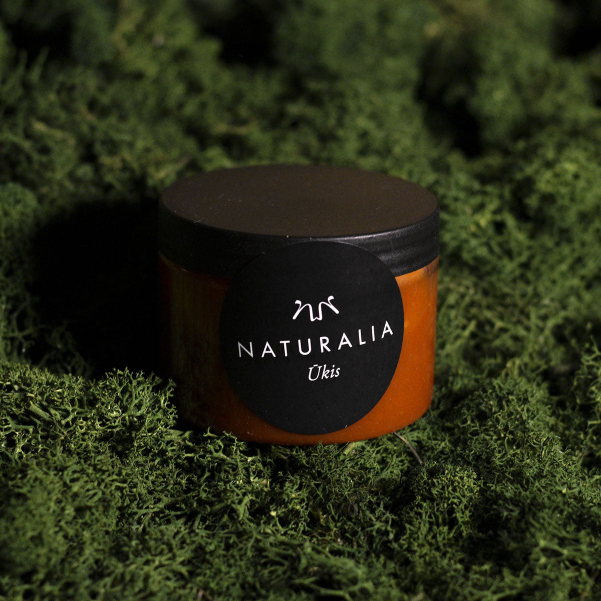 Naminis pomidorų padažas