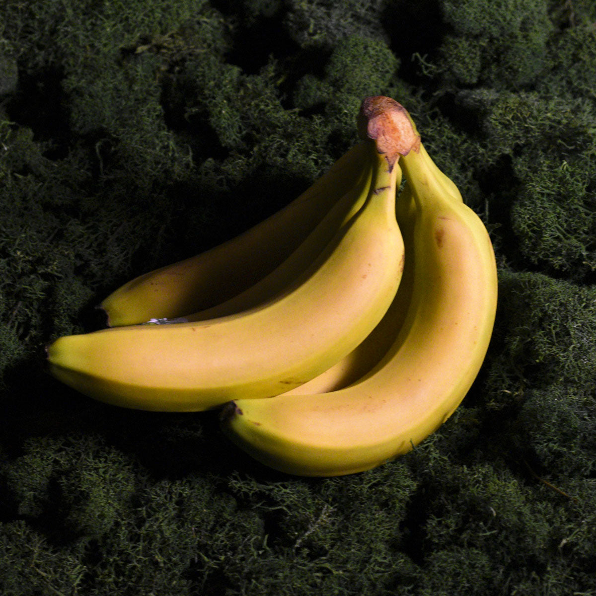 Ekologiški bananai Cavendish