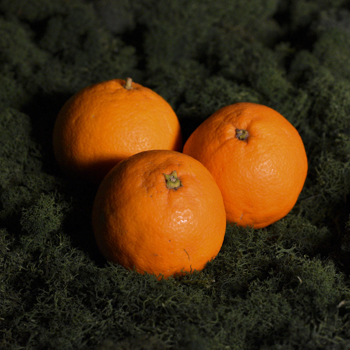 Ekologiški apelsinai pusiau raudoni Washington