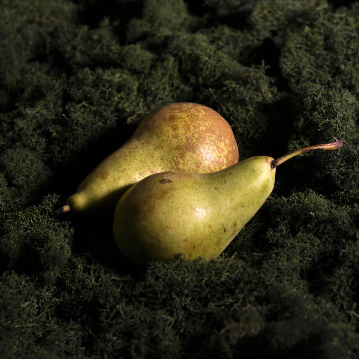 Ekologiškos kriaušės Conference