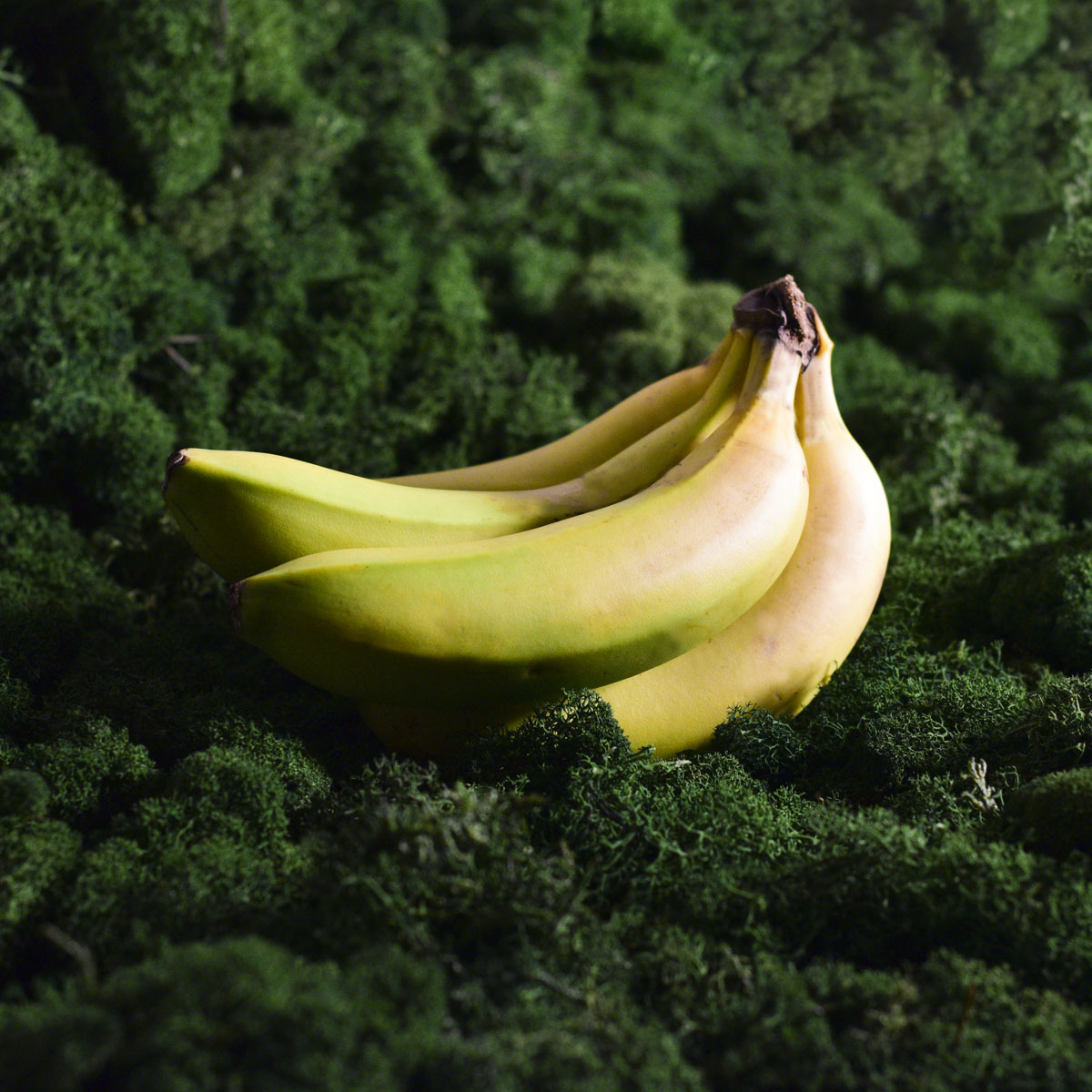 Bananai  Des Canaries