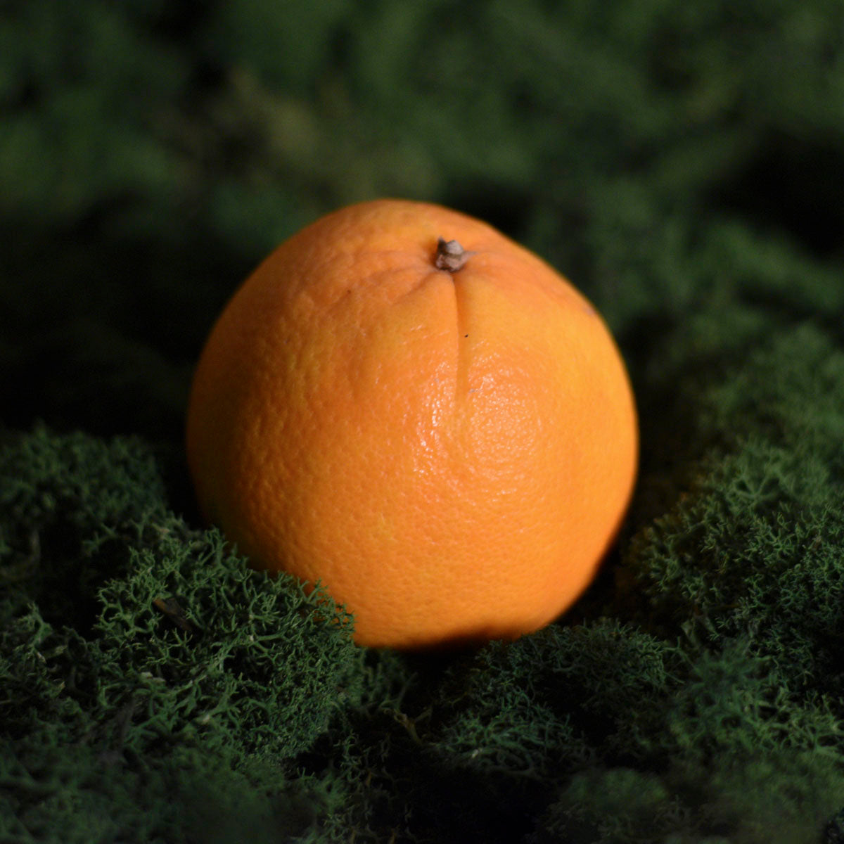 Apelsinai Navel Washington