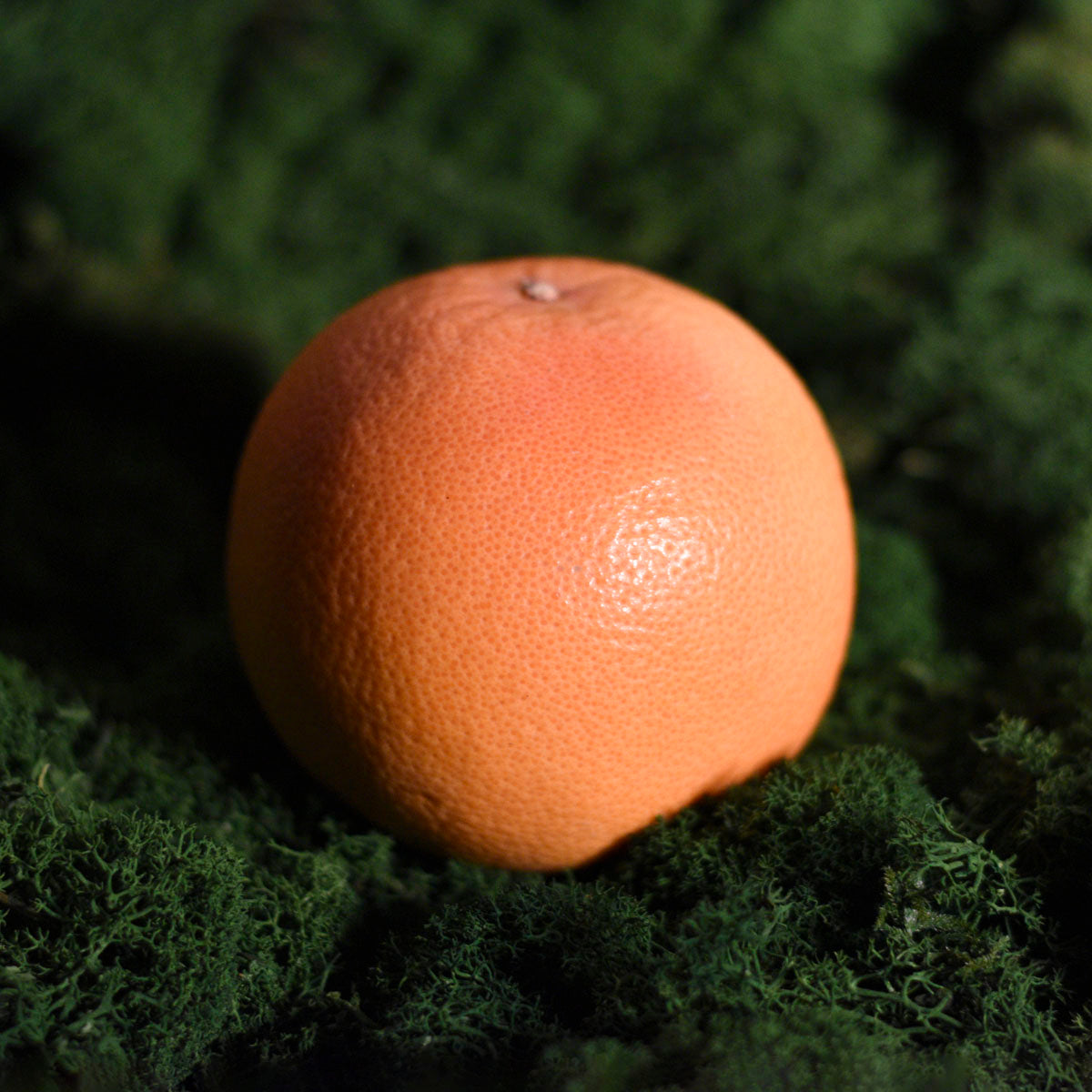 Greipfrutai Raudoni Star Ruby